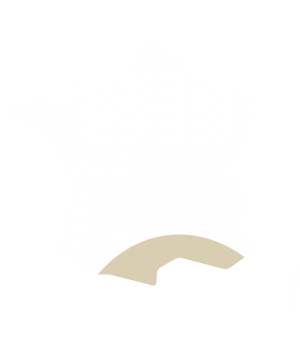 Son’Nambule • Dj, animation de mariage dans le sud de la france Son'Nambule • Dj, animation de mariage dans le sud de la france